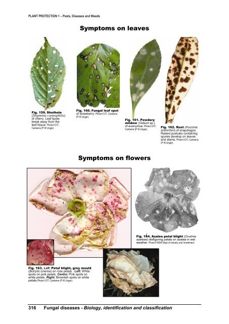 PLANT PROTECTION 1 â Pests, Diseases and Weeds