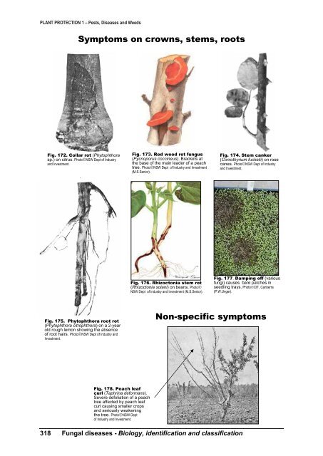 PLANT PROTECTION 1 â Pests, Diseases and Weeds