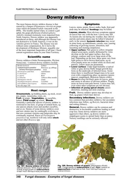 PLANT PROTECTION 1 â Pests, Diseases and Weeds