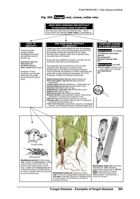 PLANT PROTECTION 1 â Pests, Diseases and Weeds