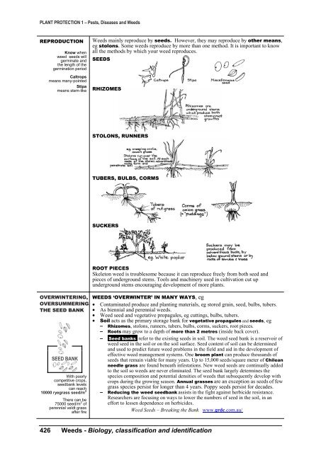 PLANT PROTECTION 1 â Pests, Diseases and Weeds