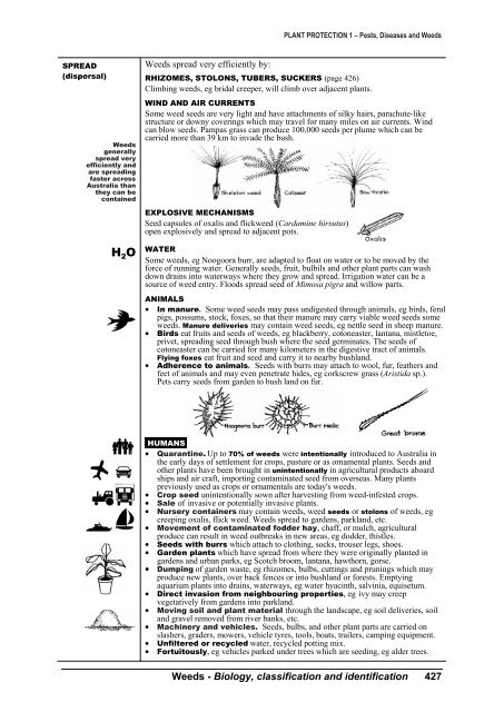 PLANT PROTECTION 1 â Pests, Diseases and Weeds