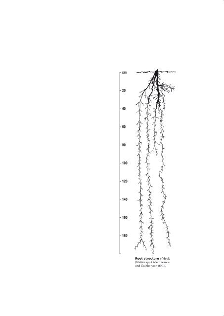 PLANT PROTECTION 1 â Pests, Diseases and Weeds