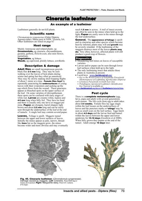 PLANT PROTECTION 1 â Pests, Diseases and Weeds