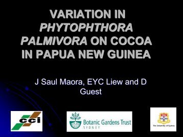 variation in phytophthora palmivora on cocoa in papua new guinea