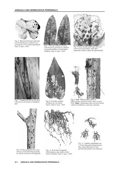 Plant Protection 3 : Selected Ornamentals, Fruit and Vegetables