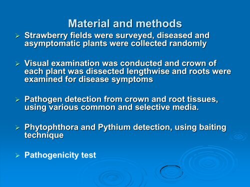 Fusarium oxysporum f. sp. fragariae; A MAIN COMPONENT OF ...