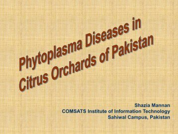 Phytoplasma diseases in citrus orchards in Pakistan. Shazia Mannan.