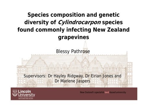 diversity of Cylindrocarpon species - Australasian Plant Pathology ...