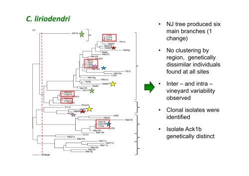 diversity of Cylindrocarpon species - Australasian Plant Pathology ...