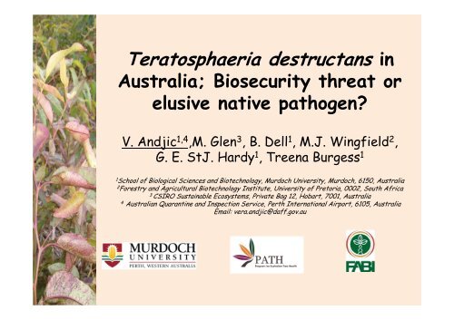 Teratosphaeria destructans in - Murdoch Research Repository ...