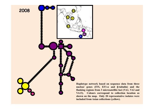 Teratosphaeria destructans in - Murdoch Research Repository ...