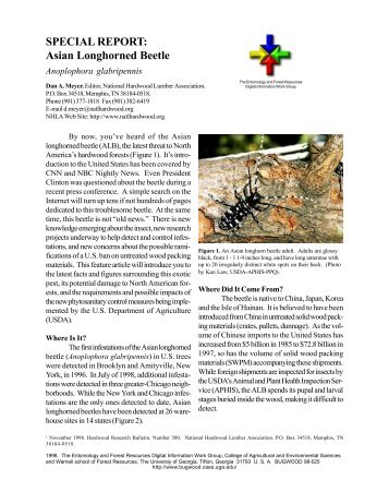 SPECIAL REPORT: Asian Longhorned Beetle - Georgia Invasive ...