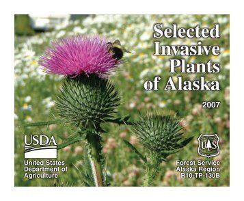 Selected Invasive Plants of Alaska - Alaska Natural Heritage Program