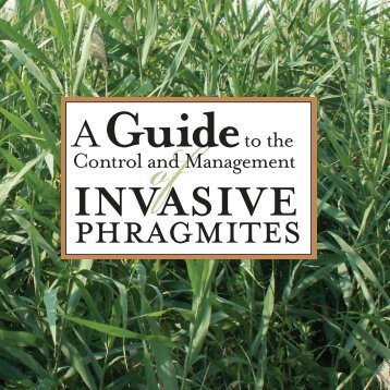 A Guide to the Control and Management of Invasive Phragmites [PDF]