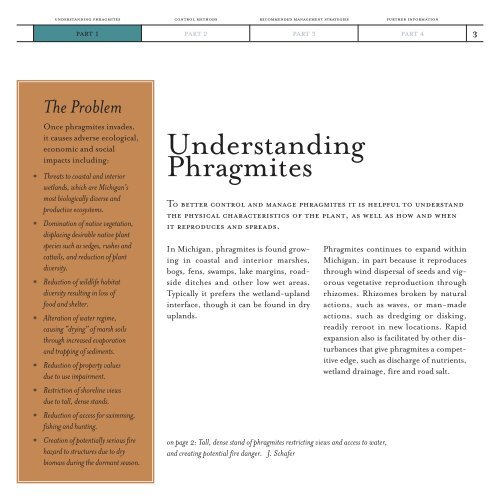 A Guide to the Control and Management of Invasive Phragmites [PDF]