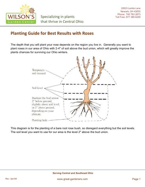 Planting Guide For Best Results With Roses Wilson S Garden Center