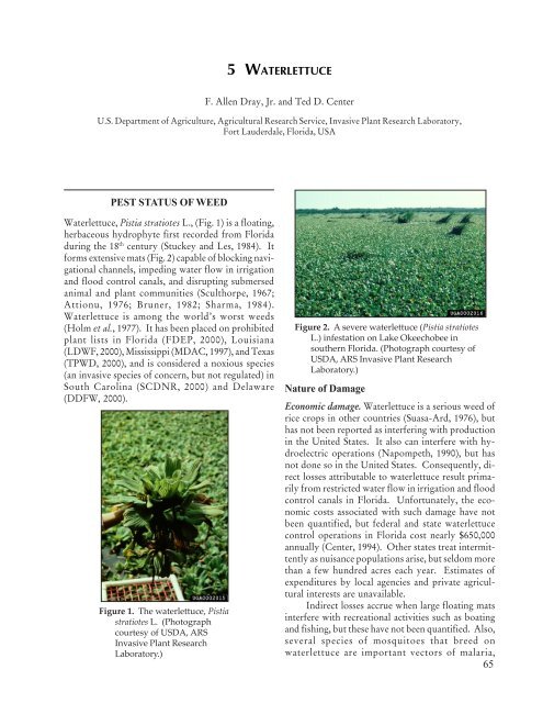 5 WATERLETTUCE PEST STATUS OF WEED ... - Invasive Plants