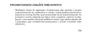 patomechanizm zakażeń wirusowych - Wydawnictwo Lekarskie PZWL