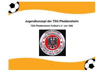 Jugendkonzept TSG - TSG Pfeddersheim Fußball eV