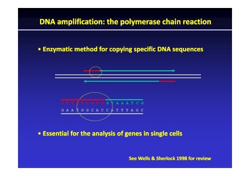 infertility treatments, genes and chromosomes