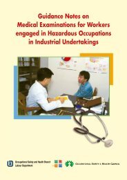 Guidance Notes on Medical Examinations for Workers engaged in ...