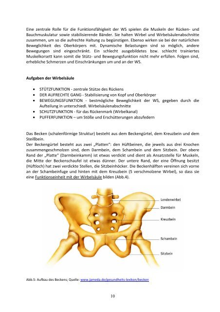 Gesundheitssport Skript