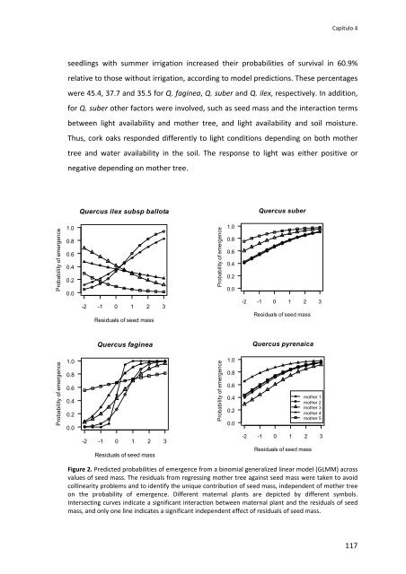 Establecimiento de cuatro especies de Quercus en el sur de la ...