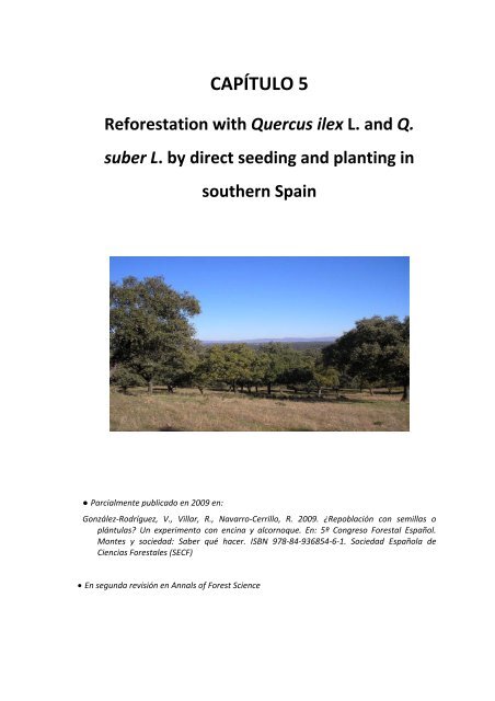 Establecimiento de cuatro especies de Quercus en el sur de la ...