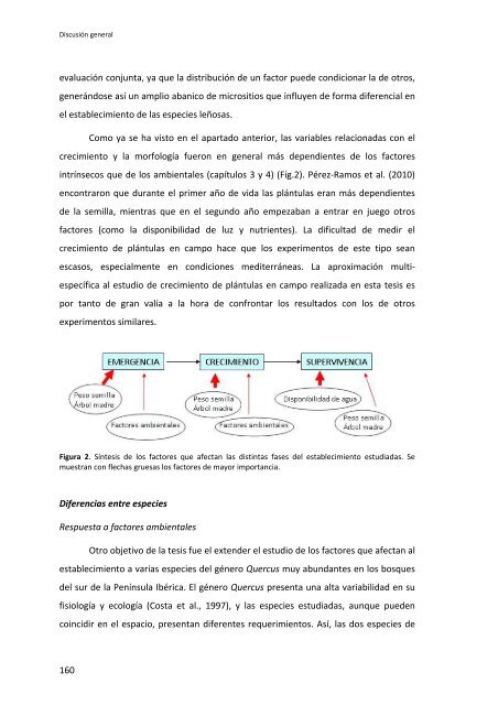 Establecimiento de cuatro especies de Quercus en el sur de la ...