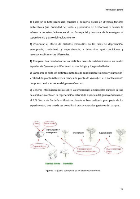 Establecimiento de cuatro especies de Quercus en el sur de la ...