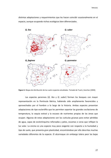 Establecimiento de cuatro especies de Quercus en el sur de la ...