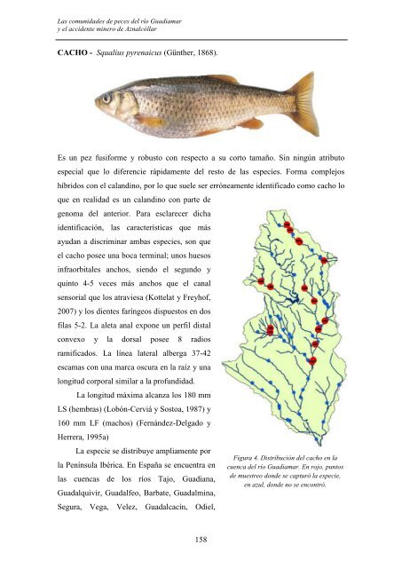 las comunidades de peces del río guadiamar y el accidente minero ...