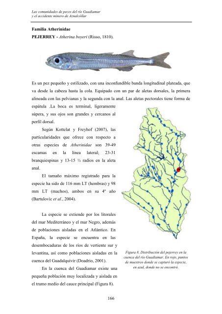 las comunidades de peces del río guadiamar y el accidente minero ...