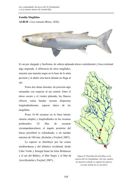 las comunidades de peces del río guadiamar y el accidente minero ...