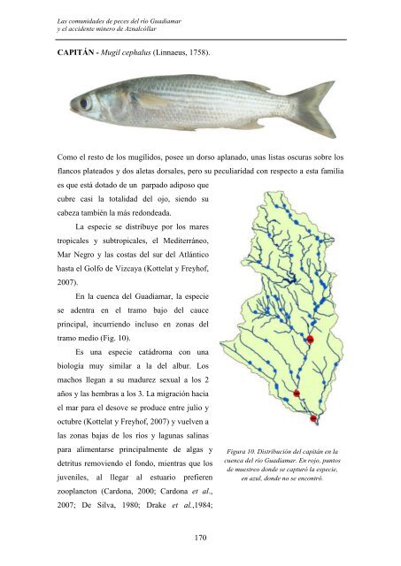 las comunidades de peces del río guadiamar y el accidente minero ...