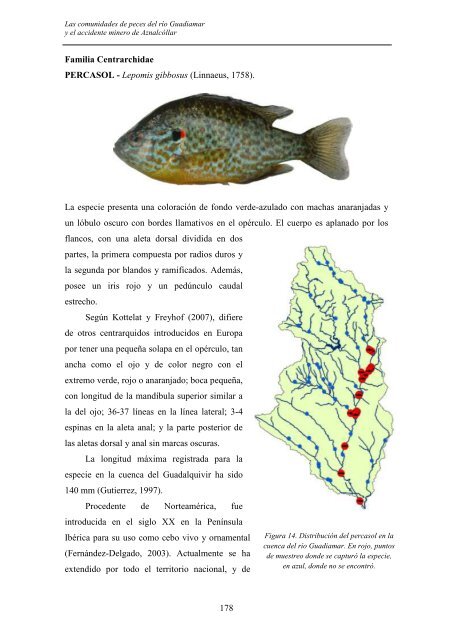 las comunidades de peces del río guadiamar y el accidente minero ...