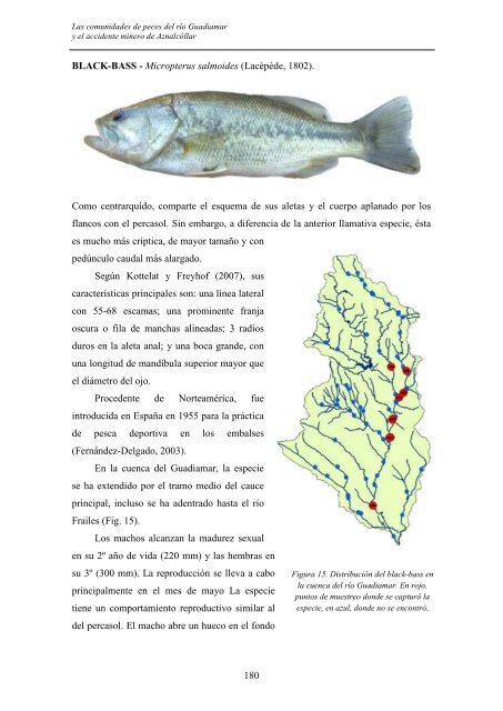 las comunidades de peces del río guadiamar y el accidente minero ...