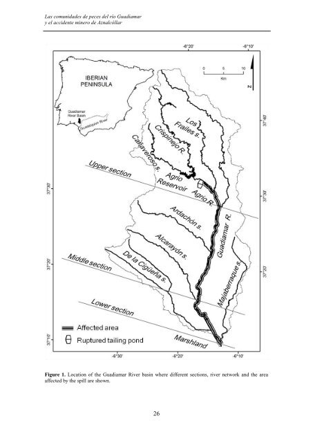 las comunidades de peces del río guadiamar y el accidente minero ...