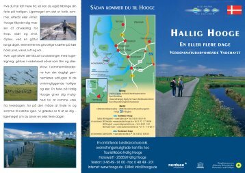 HALLIG HOOGE