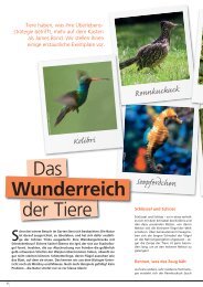 Das Wunderreich der Tiere