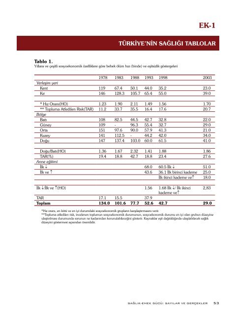 FÃ¼sun Sayek TTB RaporlarÄ± 2008: SaÄlÄ±k Emek-GÃ¼cÃ¼