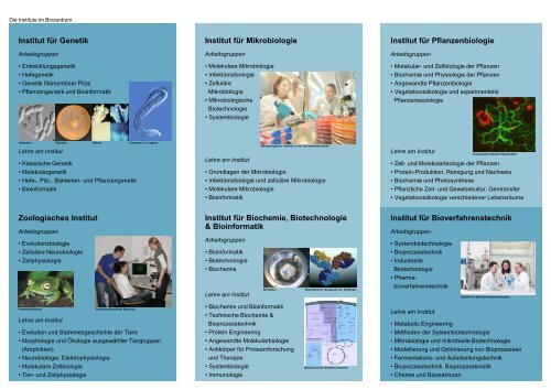 Flyer als PDF - Technische UniversitÃ¤t Braunschweig