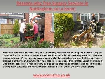 Reasons why Tree Surgery Services in Nottingham are a boon!