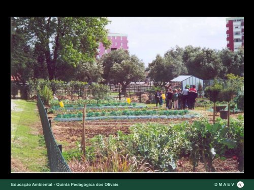 A Câmara Municipal de Lisboa e os jardins da cidade