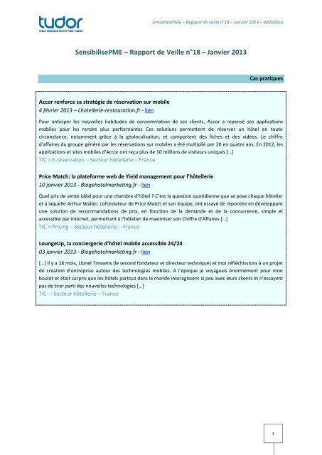 SensibilisePME – Rapport de Veille n°18 – Janvier 2013