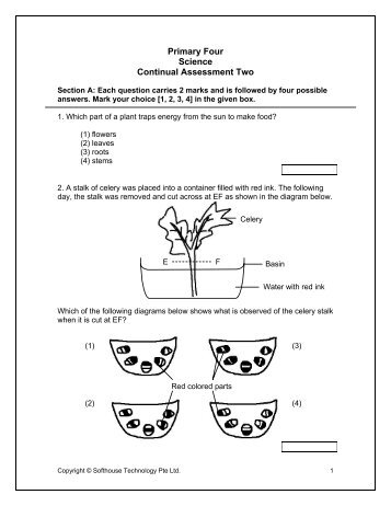 Primary Four Science Continual Assessment Two - FreeExamPapers