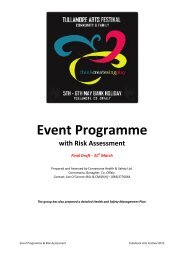 Event Programme with Risk Assessment - Tullamore Arts Festival