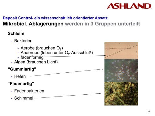 Ablagerungskontrolle an Papiermaschinen - gernsbacher-meister.de