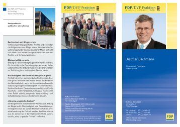 Dietmar Bachmann - FDP/DVP-Fraktion